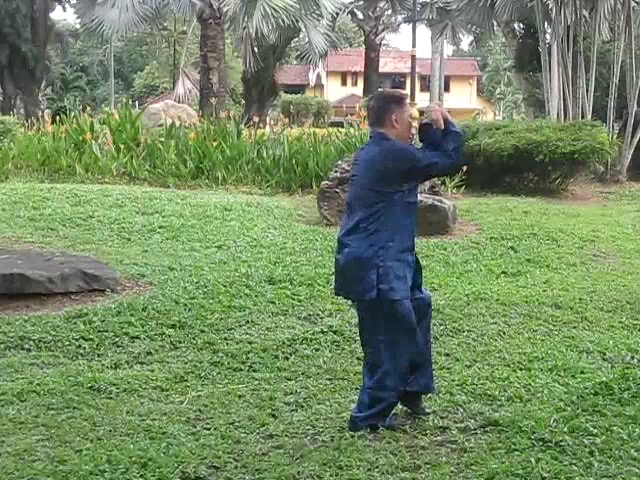 Wu Yu Xiang Style Taijiquan